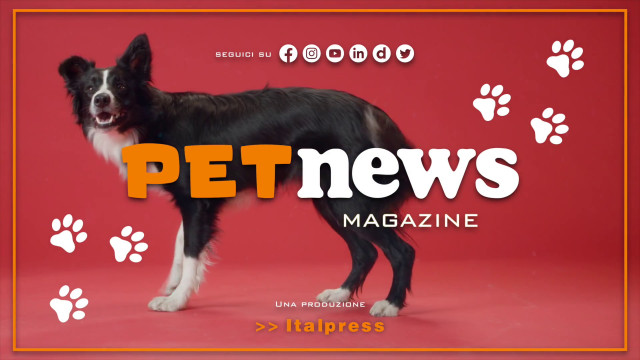 petnews-magazine-–-13/6/2023