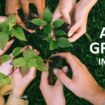 toyota-promuove-la-sostenibilita-con-la-green-month-campaign