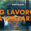 tg-lavoro-&-welfare-–-15/6/2023
