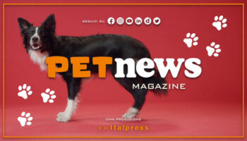 petnews-magazine-–-11/7/2023