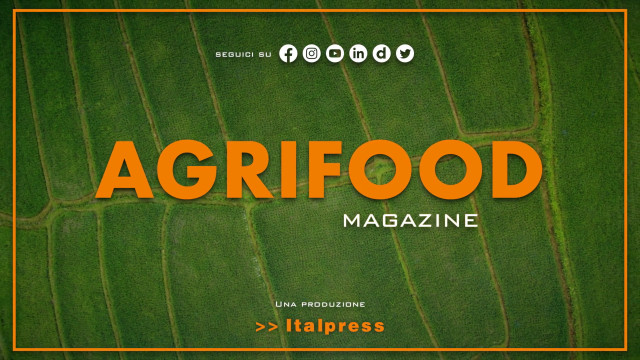 agrifood-magazine-–-15/11/2023
