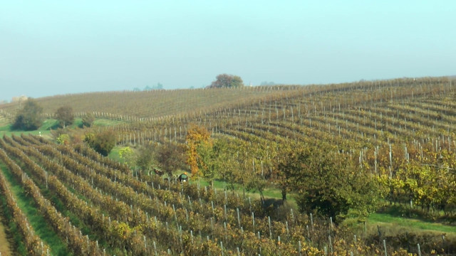 colline-e-oltre-progetta-la-promozione-dell’oltrepo-pavese
