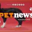 petnews-magazine-–-28/11/2023