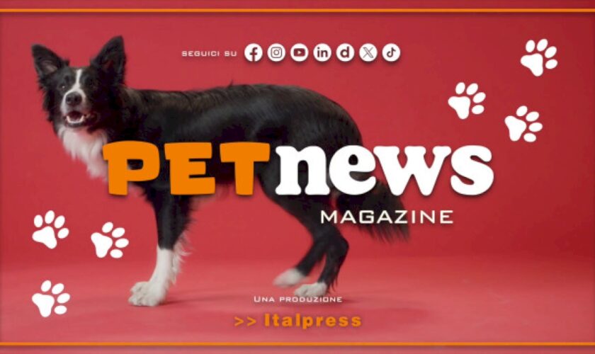 petnews-magazine-–-23/4/2024