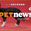 petnews-magazine-–-30/4/2024