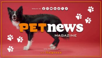 petnews-magazine-–-30/4/2024