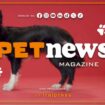 petnews-magazine-–-7/5/2024