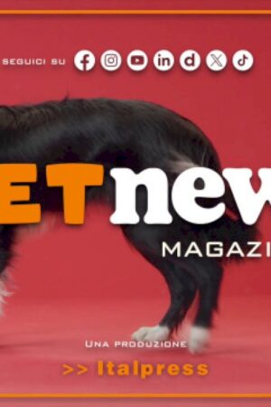 petnews-magazine-–-7/5/2024