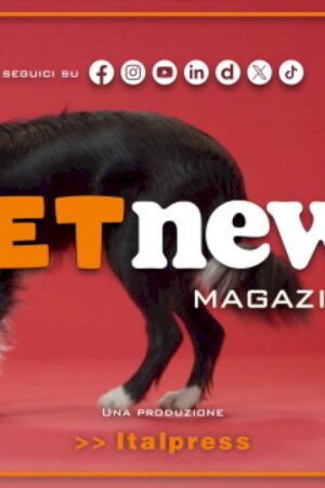 petnews-magazine-–-14/5/2024