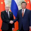 الرئيس-الصيني-خلال-لقاء-بوتين:-أوكرانيا-بحاجة-إلى-حل-سياسي