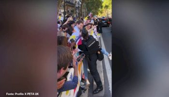 papa-a-parigi,-attivisti-peta-anti-corrida-invadono-percorso-papamobile