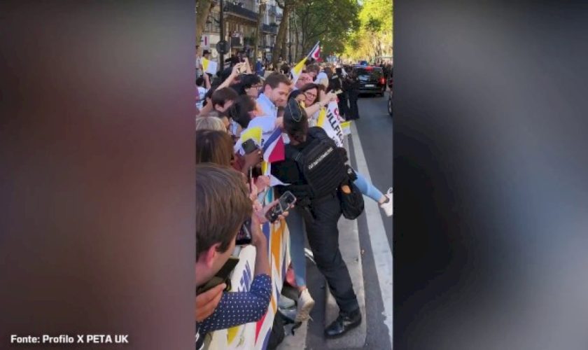 papa-a-parigi,-attivisti-peta-anti-corrida-invadono-percorso-papamobile