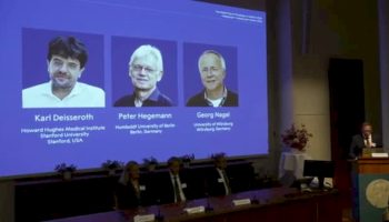 premio-nobel-per-la-medicina-a-tre-scienziati-per-studio-sul-cervello