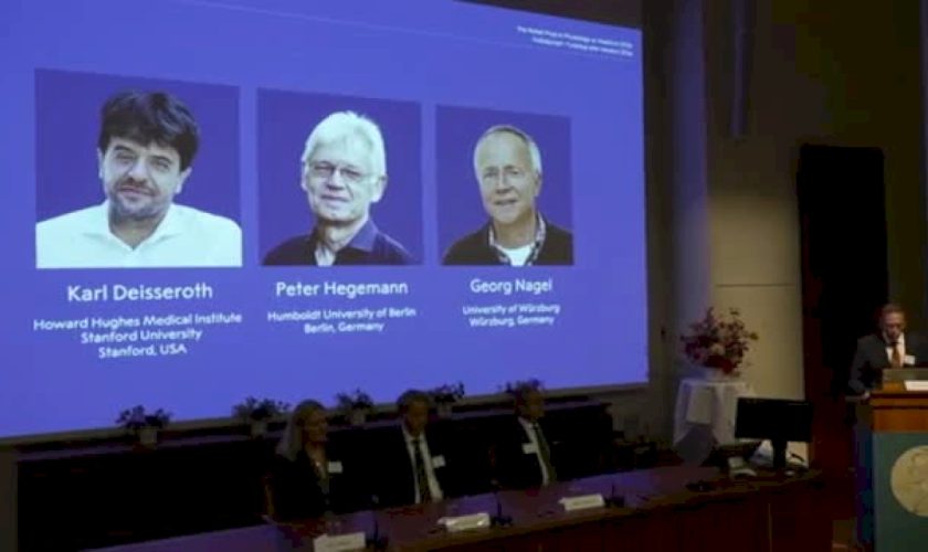 premio-nobel-per-la-medicina-a-tre-scienziati-per-studio-sul-cervello