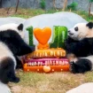 l’ocean-park-di-hong-kong-celebra-i-50-anni-con-nuove-strutture-e-iniziative